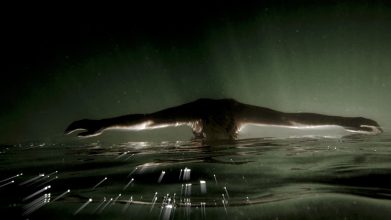 From 'Immerse' © Gina Kawecka 