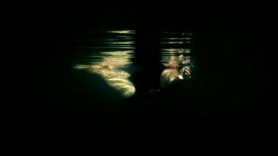 From 'Immerse' © Gina Kawecka 