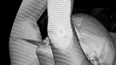 Radiology software 3 © Liz Orton