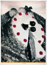 David Ferry AChir 2016