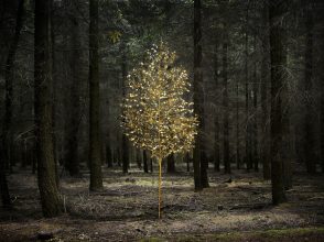 Smoke and Mirrors 2, 2010 © Ellie Davies 