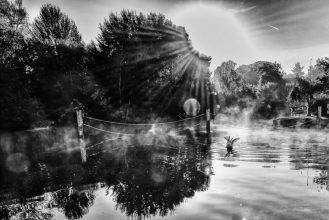 © Rob Farrands 