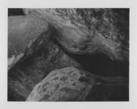From 'VISCERA' © Cyrus Mahboubian 