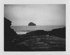 From 'VISCERA' © Cyrus Mahboubian 