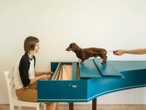 Elina Brotherus. Flux Harpsichord Concert, 2017. © Elina Brotherus 
