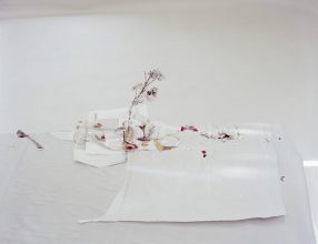 Laura Letinksy, Untitled #49 (from the series Ill Form and Void Full) 2013 © Laura Letinsky 