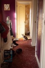 “I moved in straight away. It’s home.” © Gemma Taylor