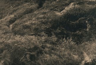 Caherdaniel Mass Path 1 © Caitriona Dunnett