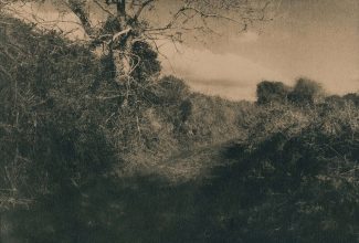 Clonakilty Mass Path © Caitriona Dunnett