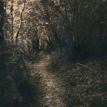 Fowley's Falls Path © Caitriona Dunnett