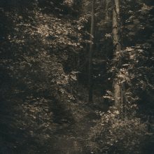 Path to Stradbally Mass Rock 1 © Caitriona Dunnett