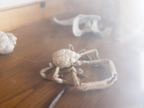 Known and Strange Things Pass © Andy Sewell