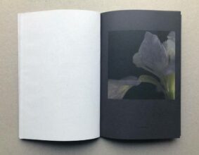 Velvet Black © Fleur Olby 