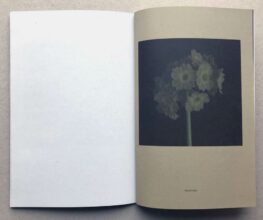 Velvet Black © Fleur Olby 
