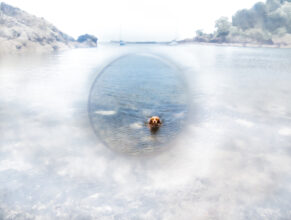 In Order to See © Marisa Culatto