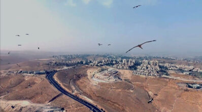 Heba Y. Amin, As Birds Flying, 2016. 7'11" Video Still. Courtesy of the artist.