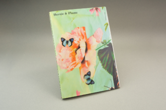 Hernie & Plume by Katherine Longly, published by The Eriskay Connection