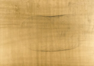 A revolution of stardust © Yvette Monahan