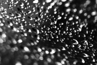 A revolution of stardust © Yvette Monahan
