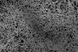 A revolution of stardust © Yvette Monahan