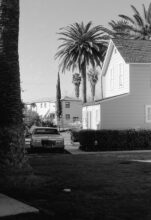 Palms and house, 1987 © Stephen Clarke