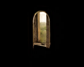 Vale © Robert Darch