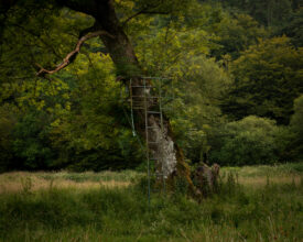 Vale © Robert Darch