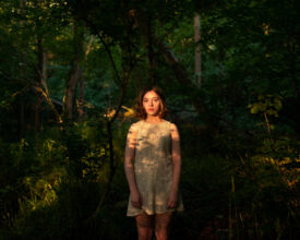 Vale © Robert Darch