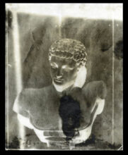 The Garden, french paper calotype 2010 © Brenton Hamilton