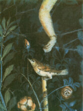 Reaching for a Nightingale, tricolor gum bichromate 2014 © Brenton Hamilton