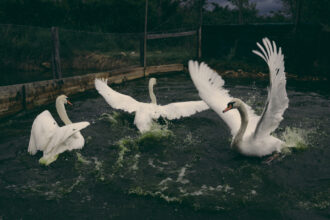 A Sensitive Education © Francesca Todde