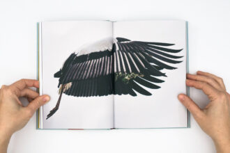 A Sensitive Education © Francesca Todde
