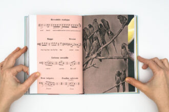 A Sensitive Education © Francesca Todde