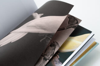 A Sensitive Education © Francesca Todde