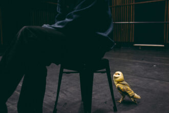 A Sensitive Education © Francesca Todde