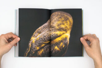 A Sensitive Education © Francesca Todde