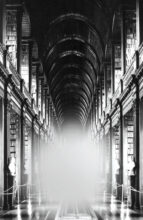 The next era (Trinity College Library, Dublino) 2015, digital painting, print on plexiglas, 200x130 x4 cm. © Mariella Bettineschi