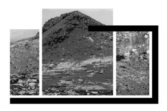 Disrupted Landscapes © Mandy Williams