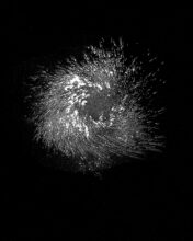Cosmic #1 © Aoife Shanahan