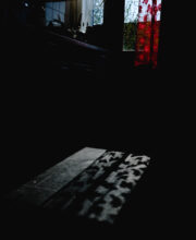© Thana Faroq