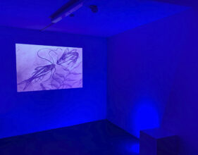 ‘In Indra's Net’ installation view, 2021, 5 min 54 sec (looped), Digital video, Image © Justin Coombes Studio
