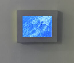 ‘Preliminary wisdom scans’ installation view, 2021, 1 min 00 sec (looped), Digital video, Image © Justin Coombes Studio