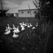 Eastern Poland 2016 © Brigitte Grignet