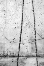 Metamorphosis, 1 © Gin Rimmington Jones