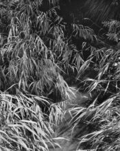 The Ditch © Emanuel Cederqvist