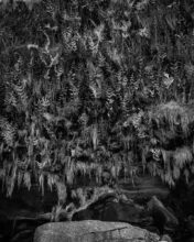 Untitled, from the series Somewhere among us a stone is taking notes © Gin Rimmington Jones
