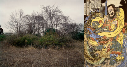 'Tree and Soil' by Robert Knoth & Antoinette de Jong, published by Hartmann Books.