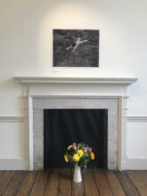 The Photographic Collective at I-54 Contemporary African Art Fair, Somerset House, October 2020