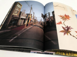 'Tree and Soil' by Robert Knoth & Antoinette de Jong, published by Hartmann Books.