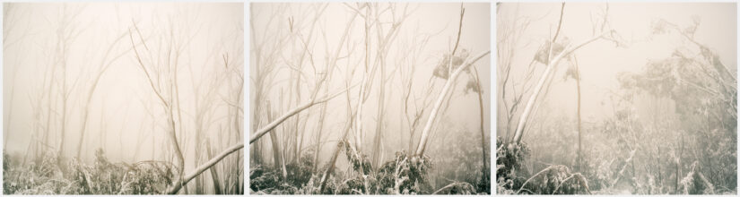 © Katrin Koenning